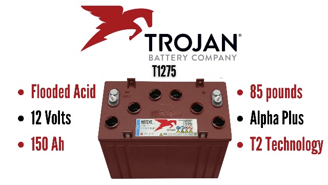 Лариса, Украина жыныстық қатынасқа түскен кезде ұсталды. Жетілген әйел резеңке дилдода отырады.